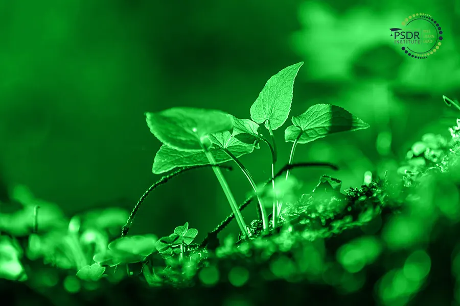 EMAS Legal Compliance in Environmental Management